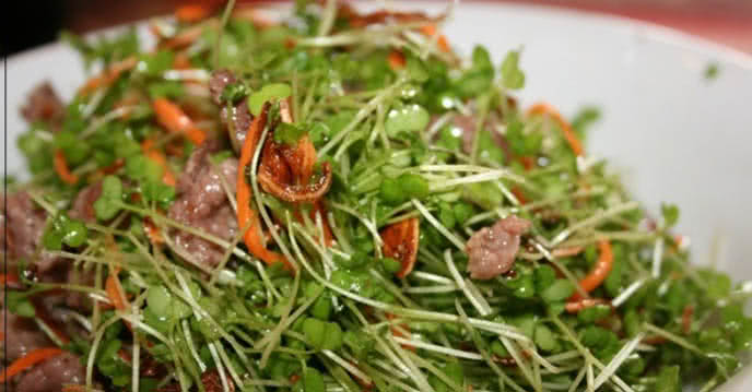 Salad rau mầm tốt cho hệ tiêu hóa
