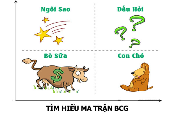 Ma trận BCG là gì? Cách vẽ ma trận BCG