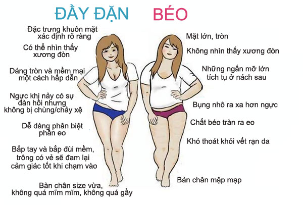 Múp có nghĩa là gì? Sự khác biệt giữa “con gái múp” và “con gái mập”