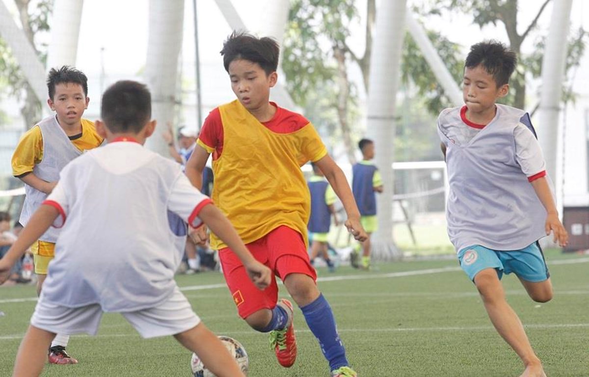Trung tâm Đào tạo Bóng đá trẻ PVF tuyển sinh tìm kiếm tài năng trẻ | Bóng đá | Vietnam+ (VietnamPlus)