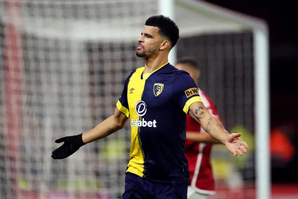 Bournemouth's Dominic Solanke wins Premier League player of the month - Vanguard News